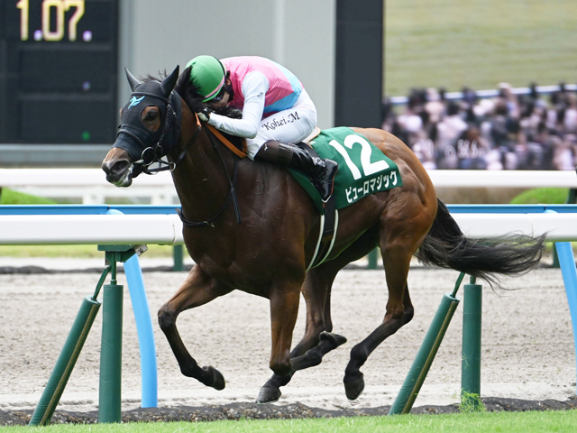 【北九州記念結果】3歳牝馬ピューロマジックが逃げ切り重賞連勝！