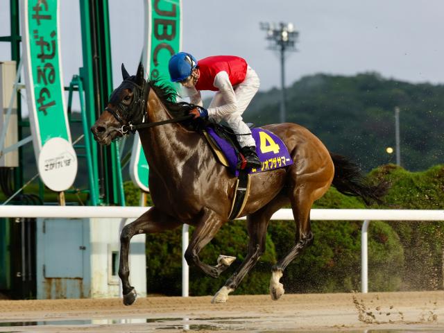 【佐賀・佐賀ユースC結果】ムーンオブザサマーが6馬身差で圧勝