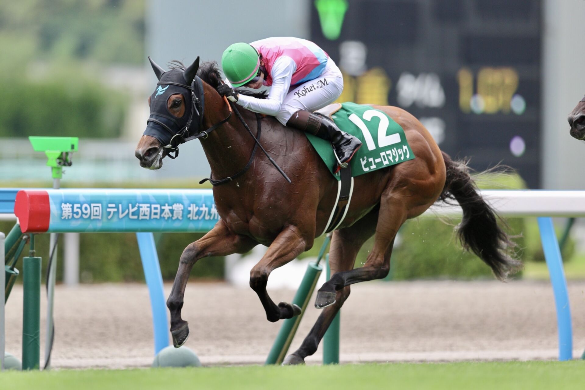 【北九州記念】ピューロマジックが重賞連勝…快速を飛ばして逃げ切る