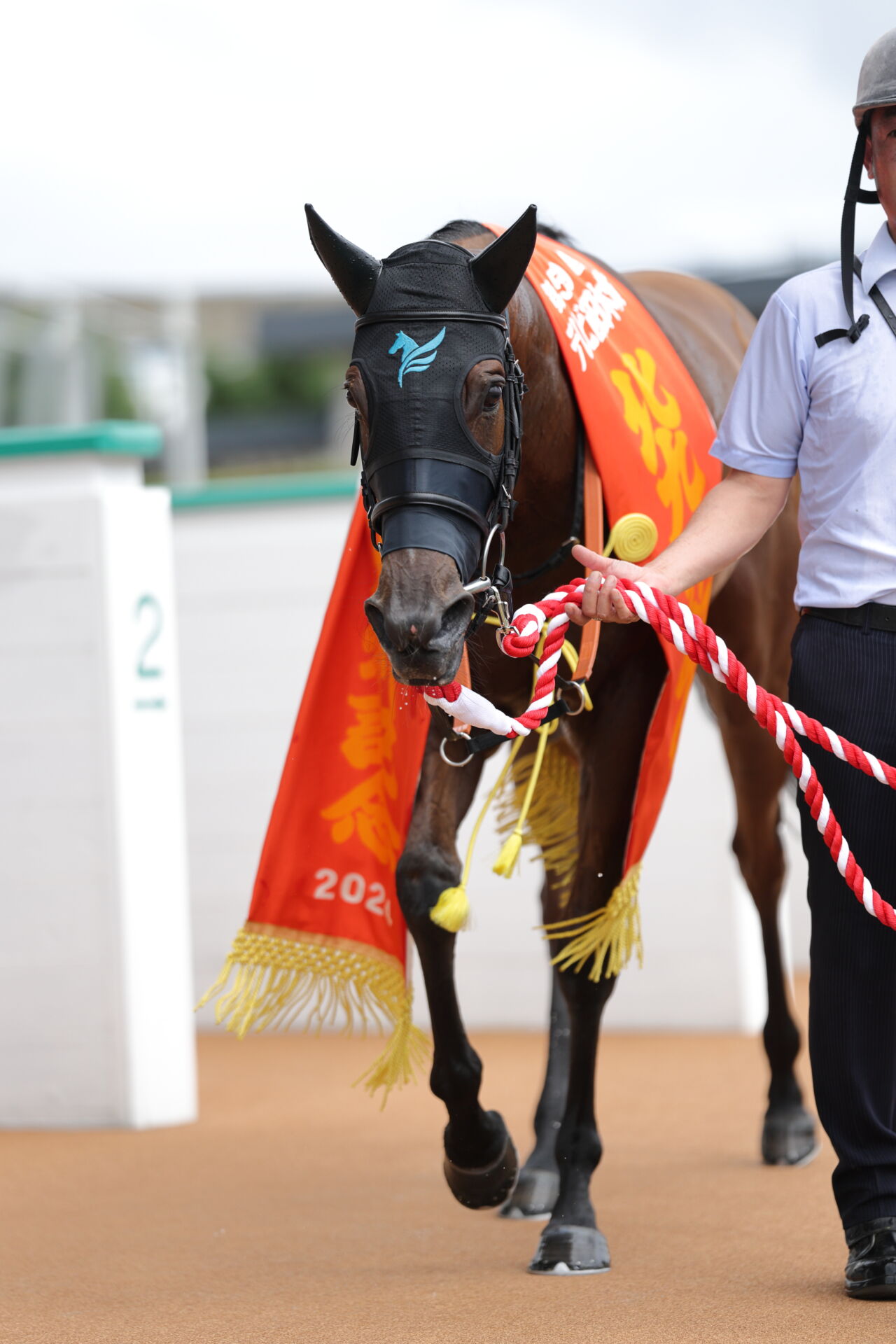 【北九州記念】松山「なんとか粘ってくれと追いました」ピューロマジックが重賞2勝目