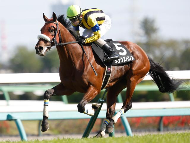 七夕賞とプロキオンSの2重賞/今週の競馬界の見どころ