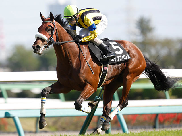 【七夕賞想定騎手】キングズパレスは松岡正海騎手、レッドラディエンスは戸崎圭太騎手