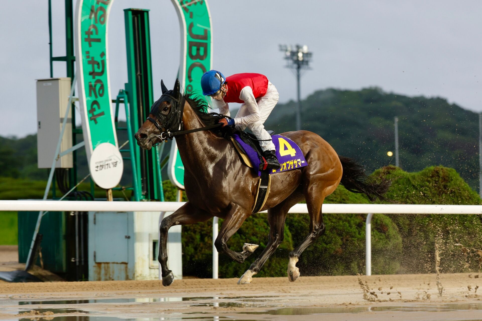 【佐賀ユースカップ】ムーンオブザサマーが6馬身差圧勝…川島「どこからでも競馬は出来る」