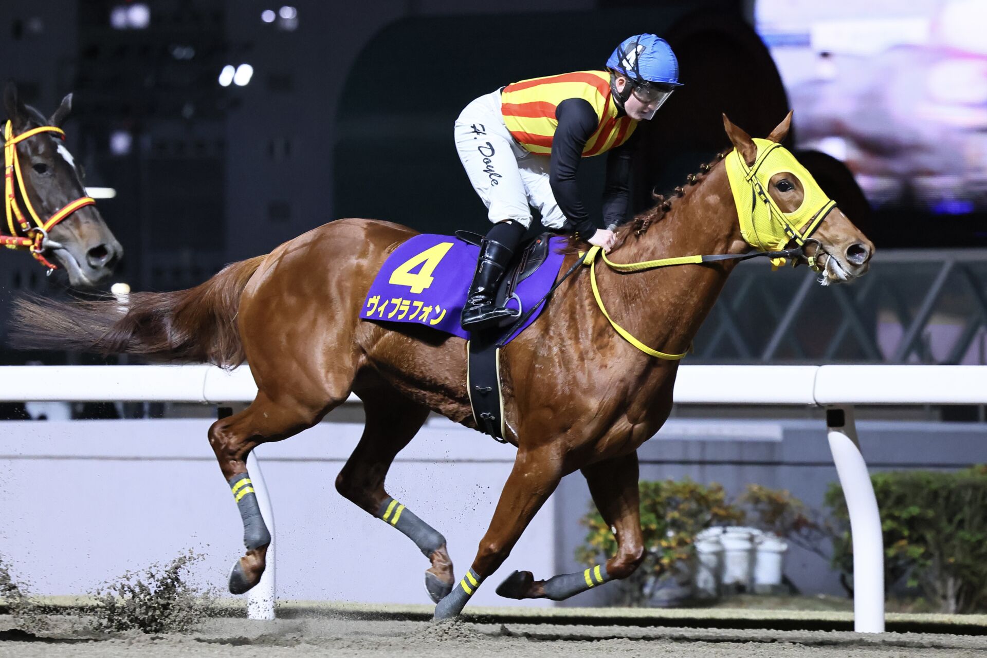 【スパーキングレディーカップ】菅原明ヴィブラフォンは8枠12番