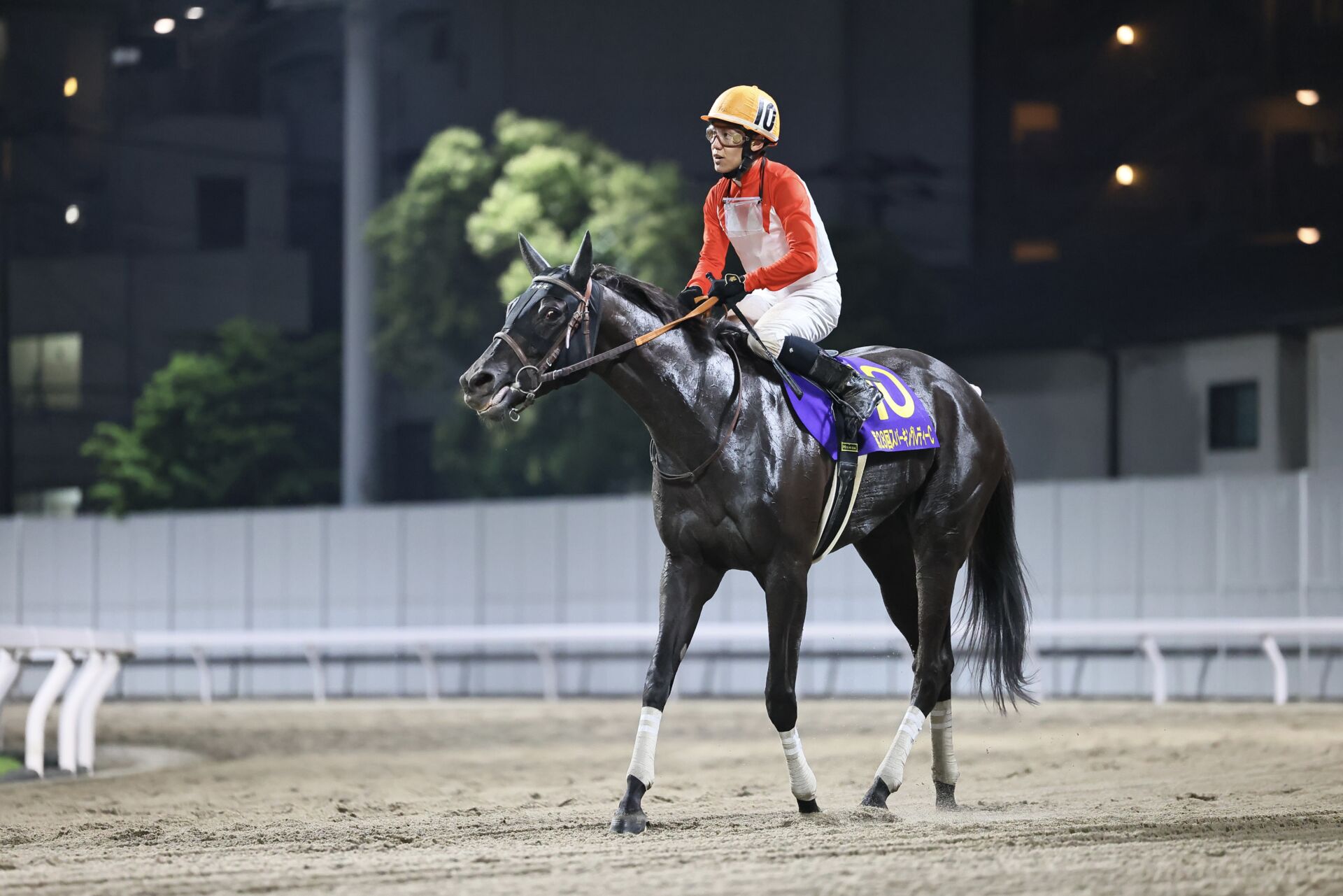 【スパーキングレディーカップ】菱田「いい時のリズムを意識して乗った」アーテルアストレアが交流重賞3勝目