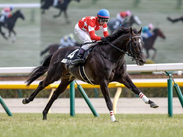 【七夕賞出走馬・騎手確定】レッドラディエンス&戸崎圭太騎手、キングズパレス&松岡正海騎手など15頭