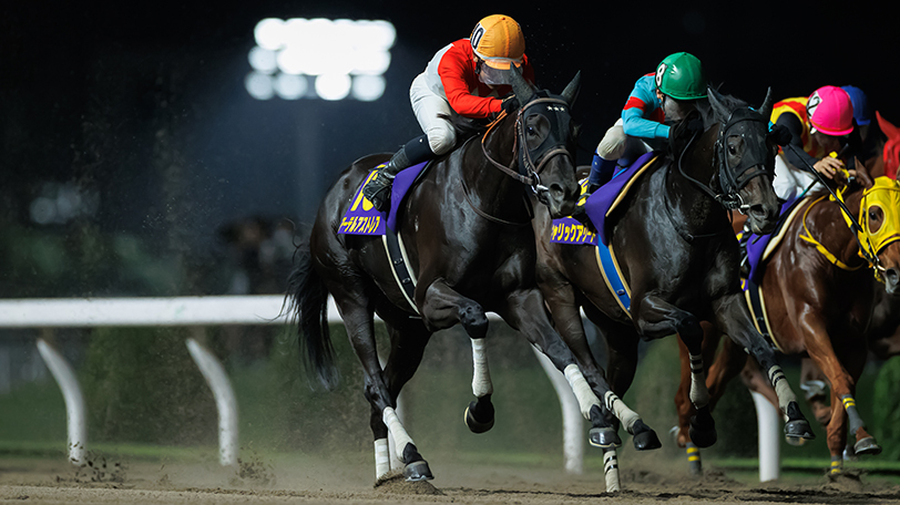 【スパーキングレディーカップ】アーテルアストレアが重賞3勝目　菱田裕二騎手「いい時のリズムを意識して乗ろうと思った」