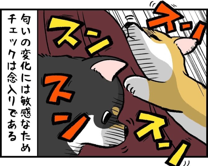 スカート 匂い 犬