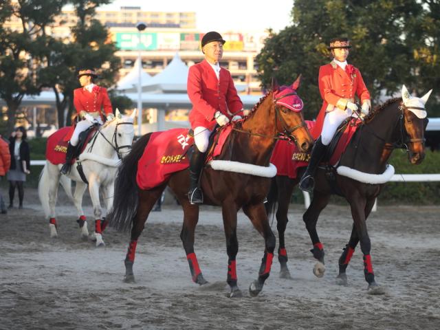 大井の誘導馬セイントメモリーが17歳で死す 現役時代は重賞6勝の活躍