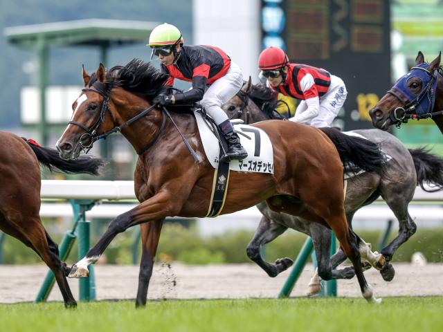 【福島5R新馬戦結果】アドマイヤマーズ産駒マーズオデッセイが快勝