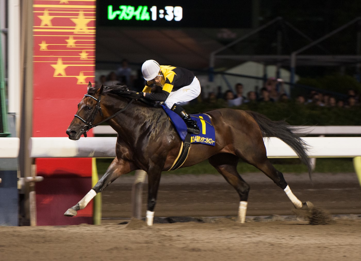 【TCK】セイントメモリーが17歳で死す…大井の誘導馬として活躍