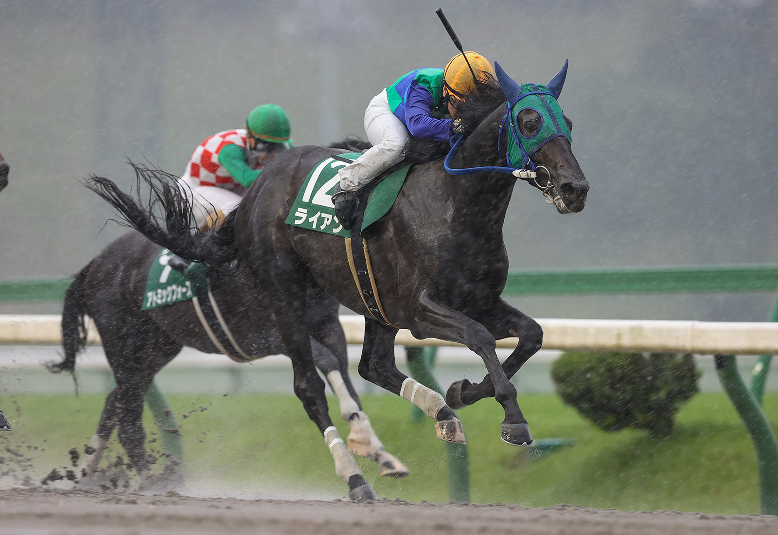 【盛岡・せきれい賞】芝からダートへ変更！ライアンが抜け出す…大井マンダリンヒーローは2着