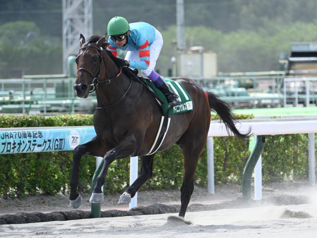 ヤマニンウルスが無傷5連勝で重賞勝利 大きな馬体の中にみなぎるパワーは母譲り