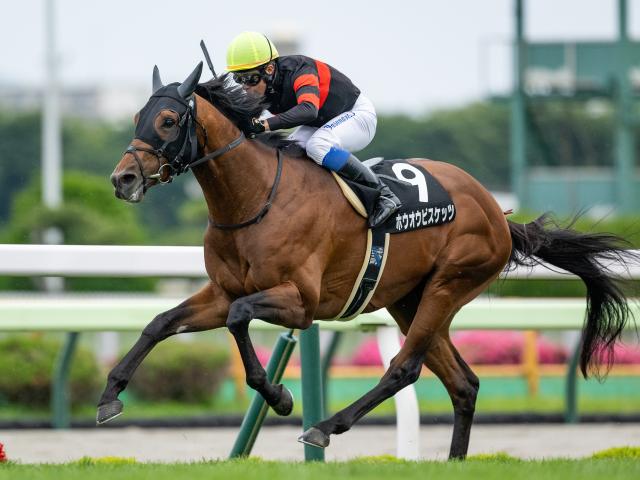 函館記念想定騎手20頭 ホウオウビスケッツは岩田康誠騎手、サヴォーナは池添謙一騎手