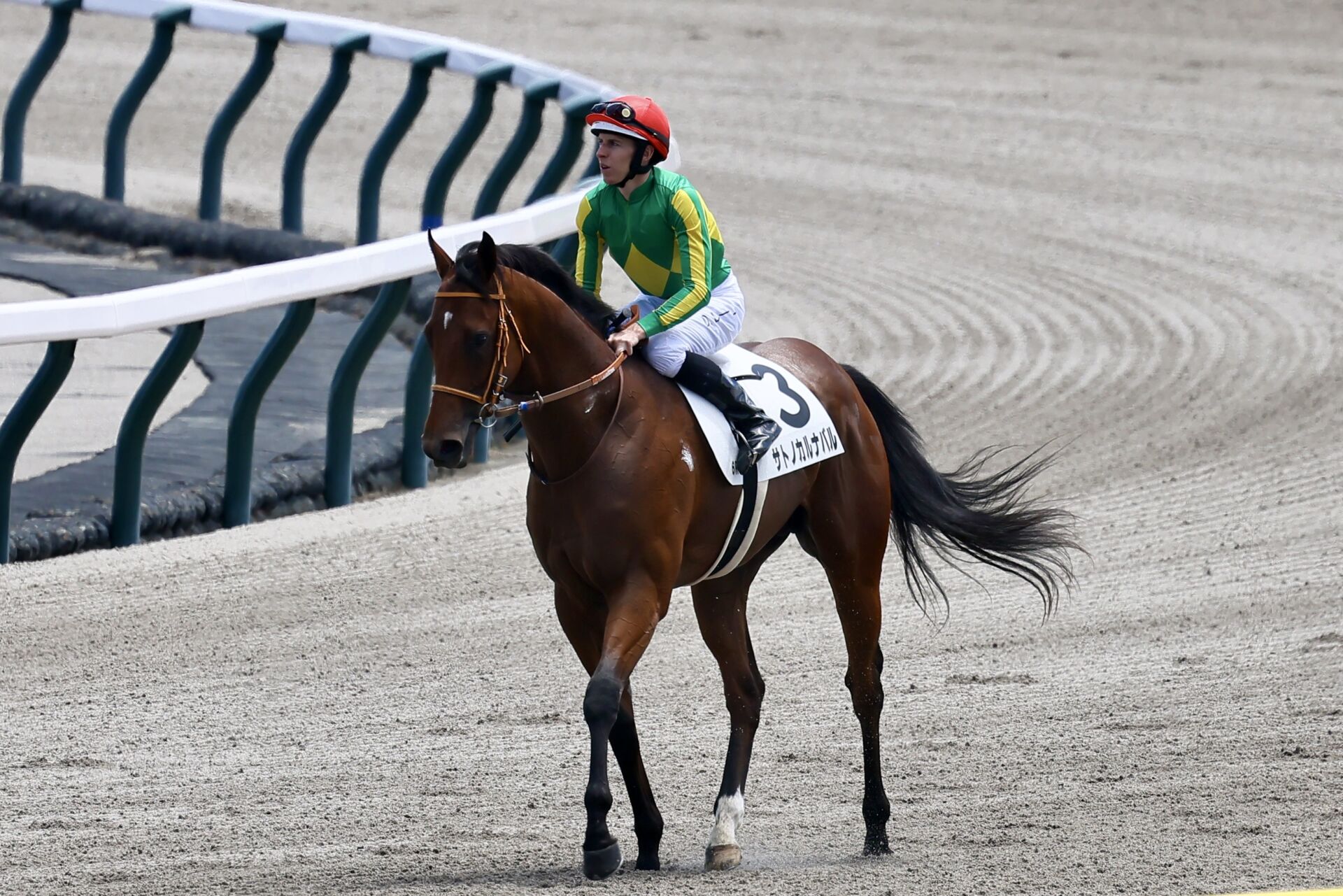 【函館2歳S登録馬】サトノカルナバルなど19頭