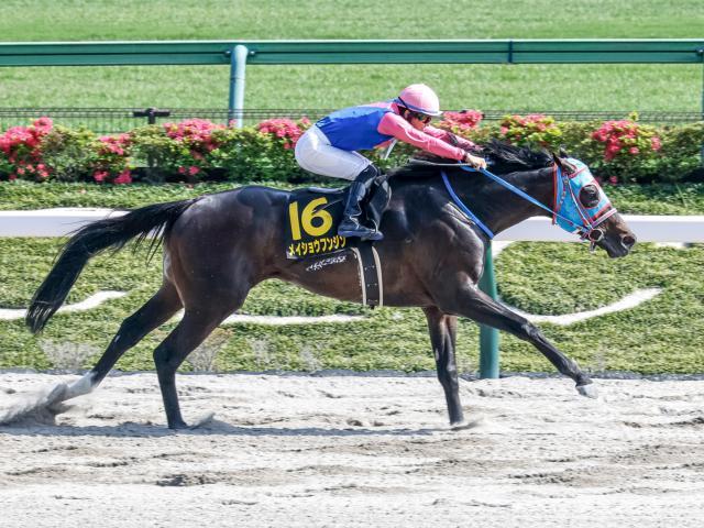 【盛岡・マーキュリーC枠順】重賞初制覇かかるメイショウフンジンは1枠1番、3連勝中のロードアヴニールは4枠5番