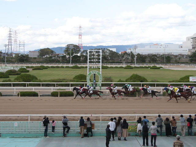 【園田・兵庫サマークイーン賞結果】金沢のハクサンアマゾネスが完勝、8連勝で重賞24勝目を挙げる