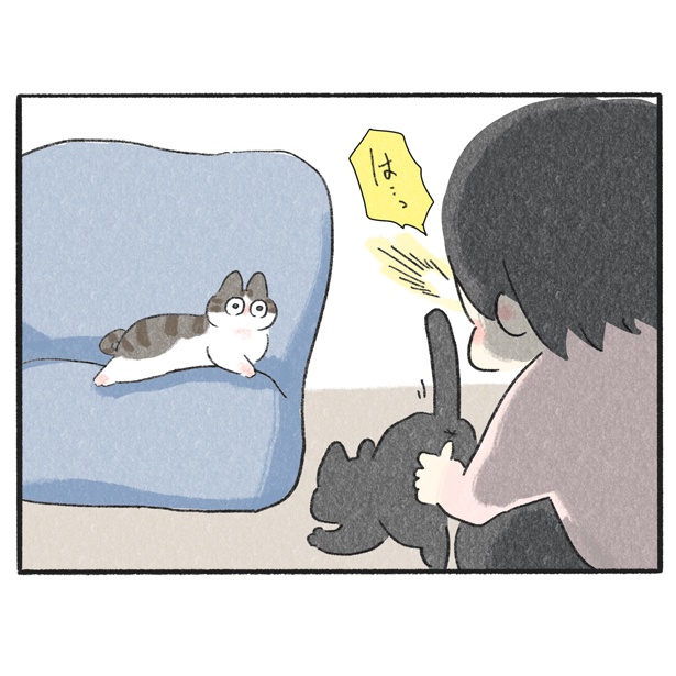 ネコ漫画】兄猫へのなでなで攻撃に弟猫の反応は？2匹の飼い猫との愛にあふれた暮らしに「うちも同じ」と共感の声【作者に聞く】（ウォーカープラス） -  Yahoo!ニュース