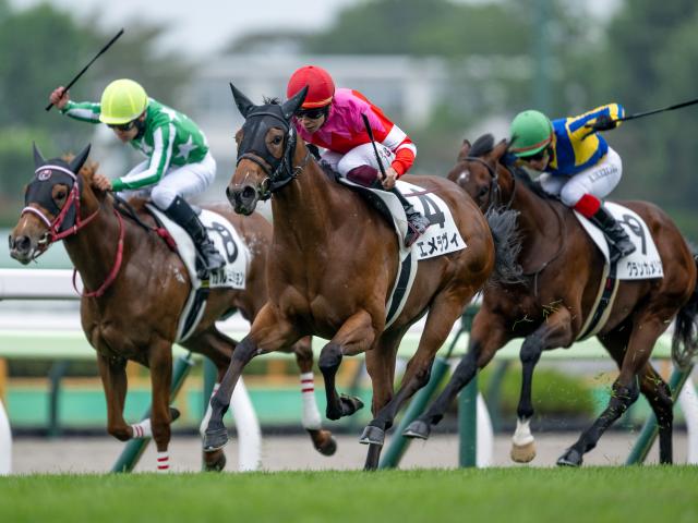 【函館2歳S予想】JRA最初の世代重賞 暮れのGI目指して勝ち名乗りをあげる馬は