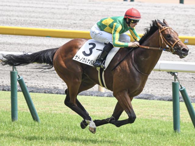 【函館2歳S】史上初となる前走本州組の勝利なるか サトノカルナバルとラインパシオンが参戦