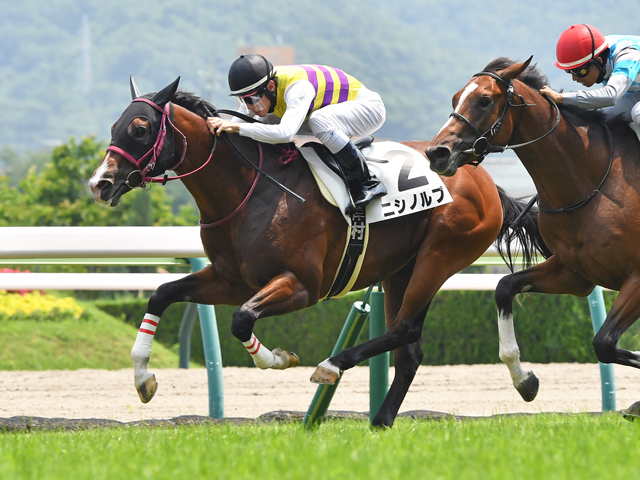 【福島5R新馬戦結果】グレーターロンドン産駒ニシノルプが逃げ切り勝ち