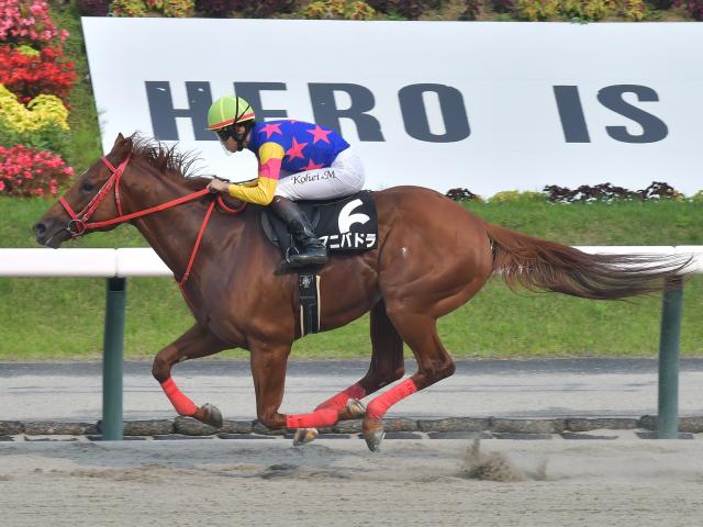 【安達太良S結果】マニバドラが断然人気に応えて完勝