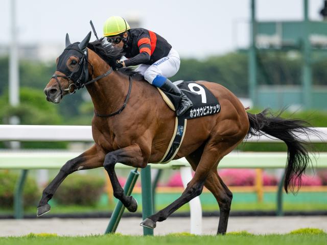 【AI予想・函館記念】今夏の重賞では4歳馬に注目!? 本命は重賞未勝利もGIレベルのポテンシャルを秘める逸材