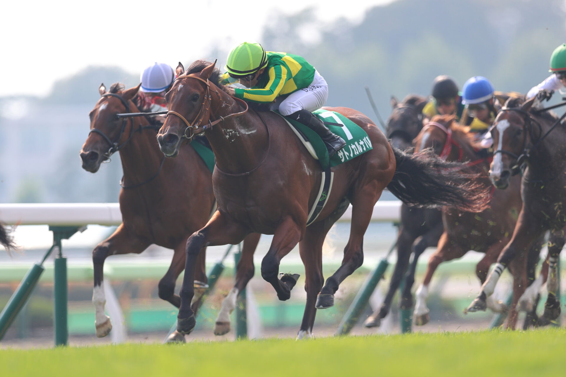 【函館2歳S】サトノカルナバルがデビュー2連勝