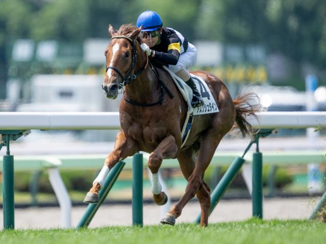 【函館5R新馬戦結果】ドゥラメンテ産駒アスクシュタインが逃げ切り勝ち