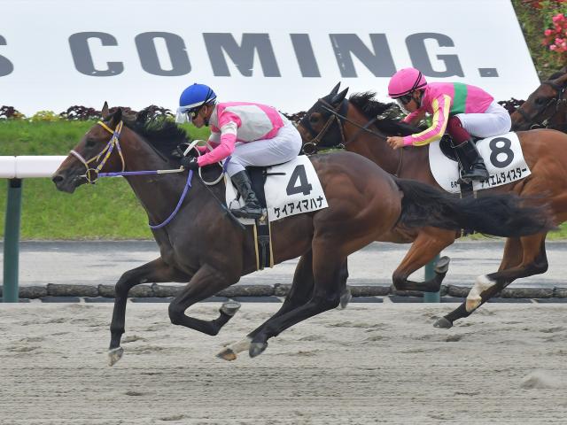 【福島6R新馬戦結果】ダノンレジェンド産駒ケイアイマハナが人気に応えてV