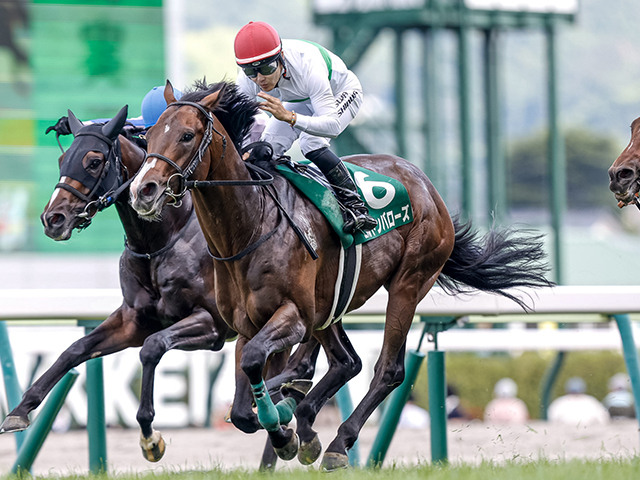 【中京記念想定騎手】エルトンバローズは西村淳也騎手、セオは岩田康誠騎手