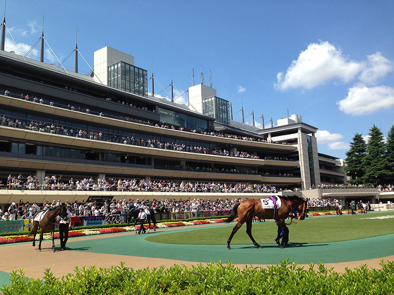 【函館記念回顧】“エリモハリアー以来”の勝ち馬は「函館だけに…」 4着サヴォーナは「対応できず」