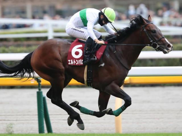 昨年重賞2連勝を果たした実績馬が輝きを取り戻すか 中京記念で復活を狙う