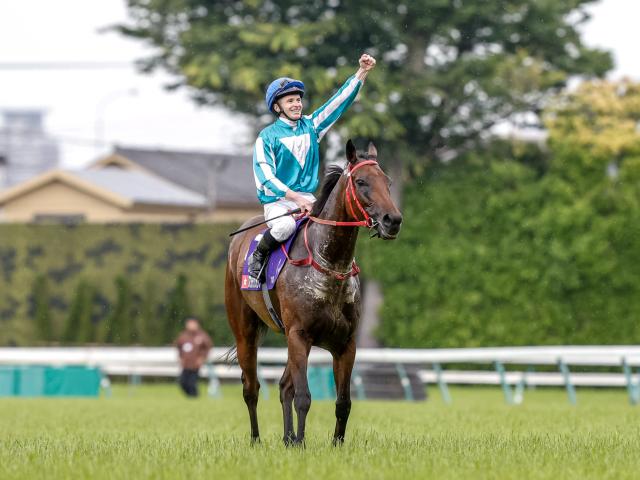 ロマンチックウォリアーが年度代表馬に 香港の2023/24年シーズン終わる