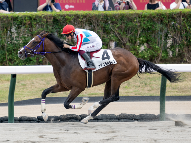 【札幌5R新馬戦結果】キズナ産駒ナチュラルライズが6馬身差圧勝