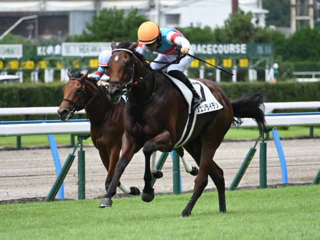 【小倉5R新馬戦結果】レイデオロ産駒ジュンライデンが好位から抜け出しV