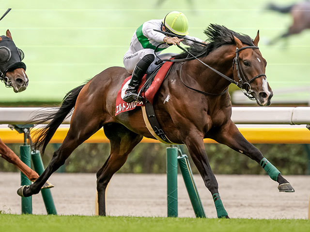 【中京記念予想】前走の競馬場や4角での位置取りが好走の鍵！ 重賞2勝の実力馬が該当した消しデータとは