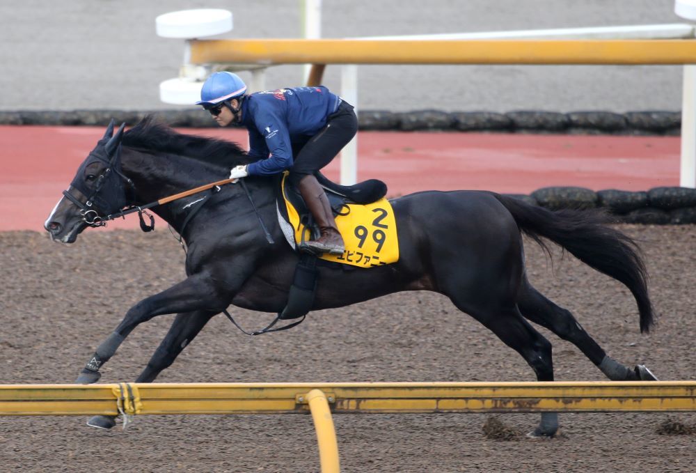 中京記念】「複勝率8割」をマーク！ 軸馬にオススメしたい馬券圏内が濃厚な2頭（優馬） - Yahoo!ニュース