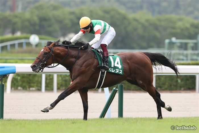 【中京記念】小倉開催時の直近2年も勝ち馬ズバリ推奨！今年は1頭だけ「神条件」該当馬