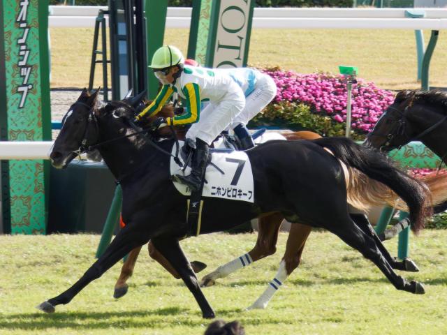 【中京記念予想】2年ぶりに小倉芝1800mが舞台 小回りゆえ逃げ先行馬が中心か