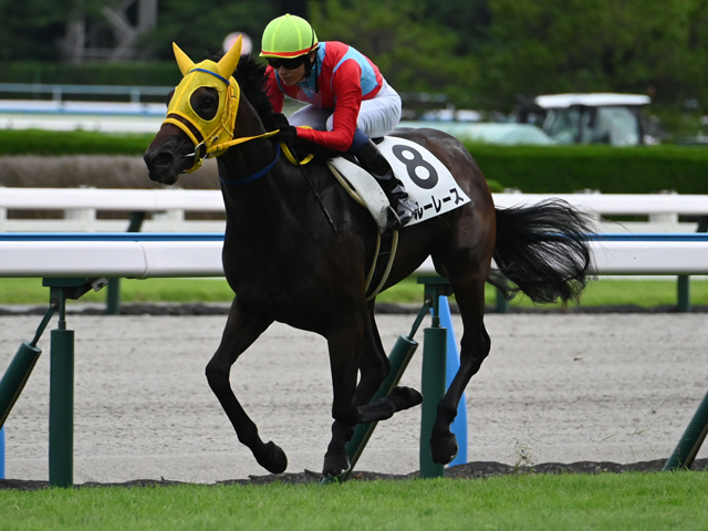 【小倉5R新馬戦結果】モズアスコット産駒ブルーレースが3馬身半差で完勝