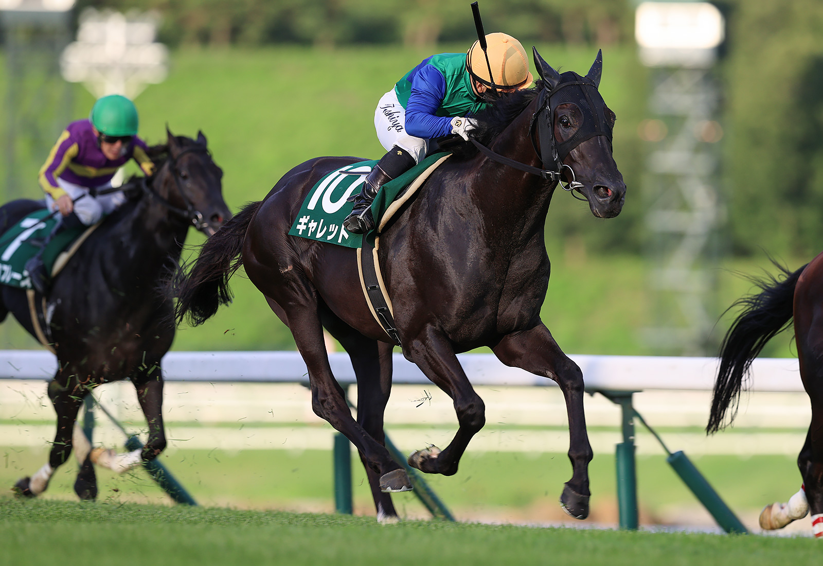 【盛岡・いしがきマイラーズ】1番人気ギャレットが重賞2勝目…山本「今日もダッシュつかなかった」