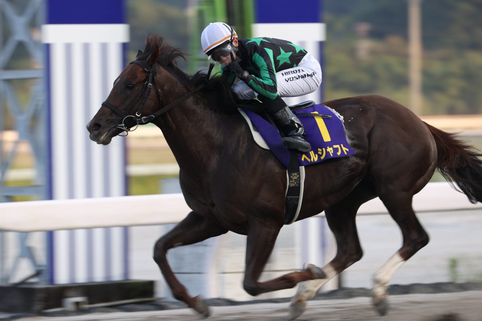 【高知・トレノ賞】ヘルシャフトが4馬身差で快勝…吉原「暑さに強い馬ではないと聞いていた」