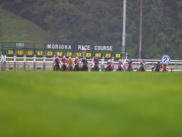 第5回盛岡競馬の芝レースをすべてダートに変更 重賞3競走にも影響