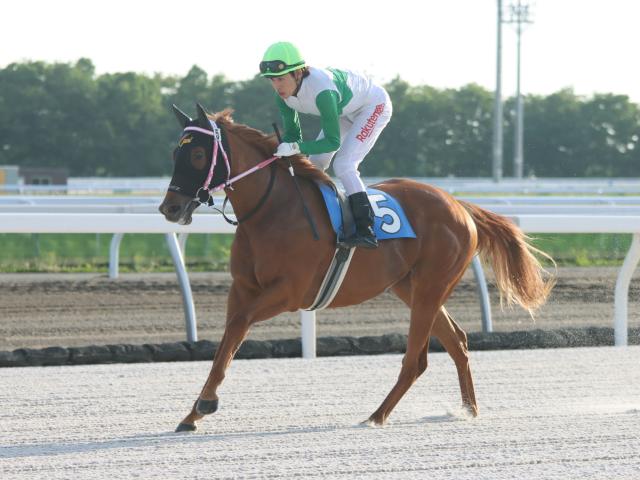 【リリーC予想】頭一つ抜けた有力馬と逆転のカギを握るキャリア一戦馬 2歳女王へのチケットを掴むのは