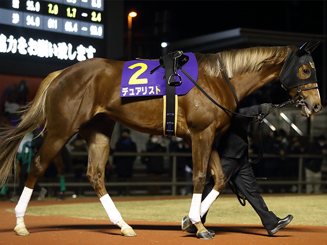 アイビスSD史上初の快挙達成へ 福永祐一厩舎が芝初挑戦の管理馬で騎手＆調教師のダブル制覇狙う