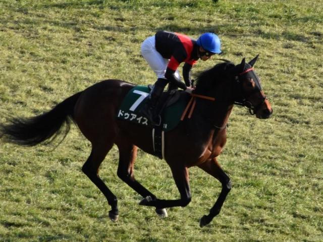 【クイーンS出走馬・騎手確定】ドゥアイズ&鮫島克駿騎手、ウンブライル&C.ルメール騎手など14頭