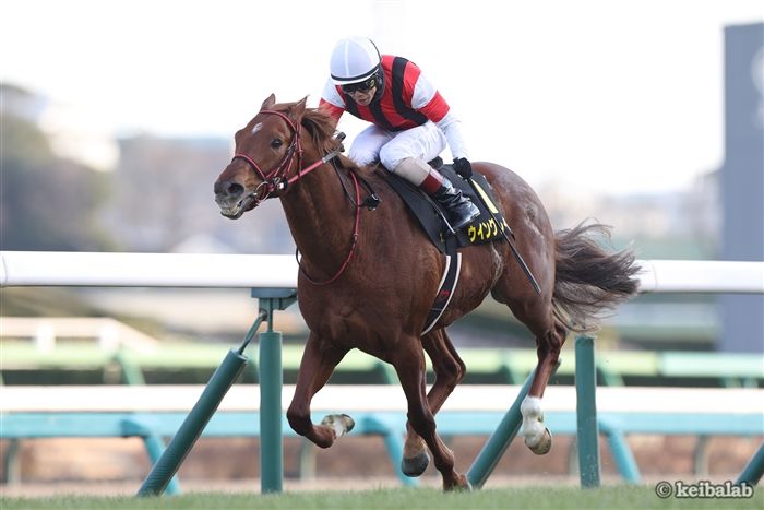 【アイビスサマーダッシュ】初の条件！ウイングレイテストが夏の王者を目指し新潟へ