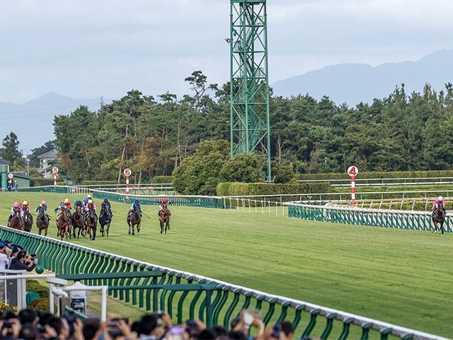 アイビスSDで内ラチ沿いを選択した馬たちの成績は？ “第二のバカラクイーン”誕生はあるか