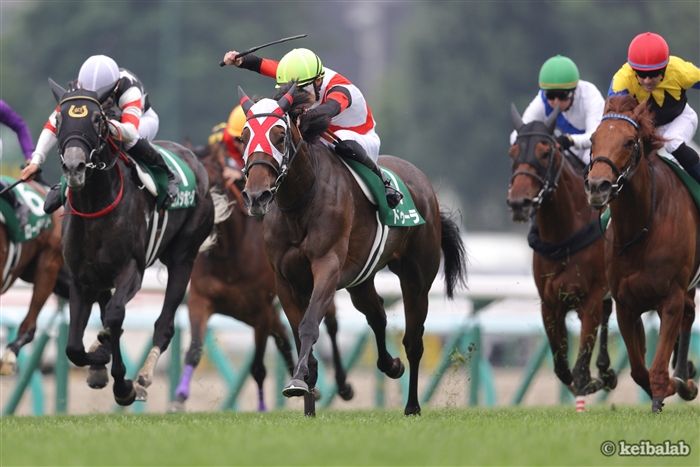 【クイーンS】直近5年の優勝馬に共通！超シンプルな方法で浮上する軸候補2頭